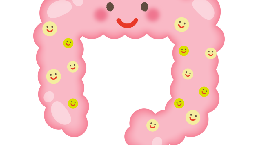 腸内環境を整えて健康管理に役立てよう!