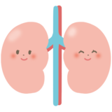 防ごう！慢性腎臓病（CKD）