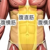 腹筋を鍛えよう