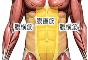 腹筋を鍛えよう
