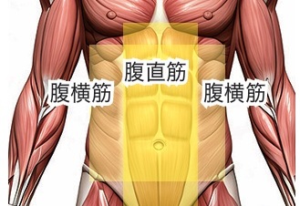 腹筋を鍛えよう