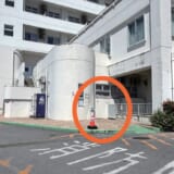 あすなろNo.123 かりゆし会からのお知らせです。
