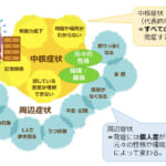 認知症の症状は中核症状と周辺症状の2つがある